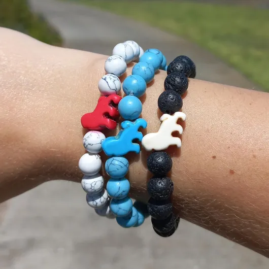 81b3fz45BoL._AC_SL1500_