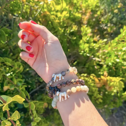 61Ms2-65Z-L._AC_SL1080_