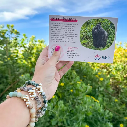 8131mD75dtL._AC_SL1500_