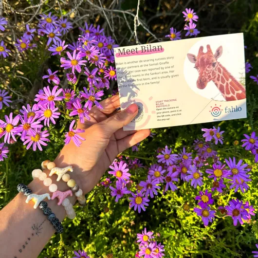 91MfP4fG5UL._AC_SL1500_