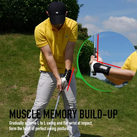 810al9PTHDL._AC_SL1500_