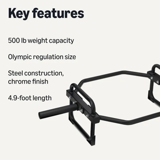 61AgUNtjb7L._AC_SL1500_