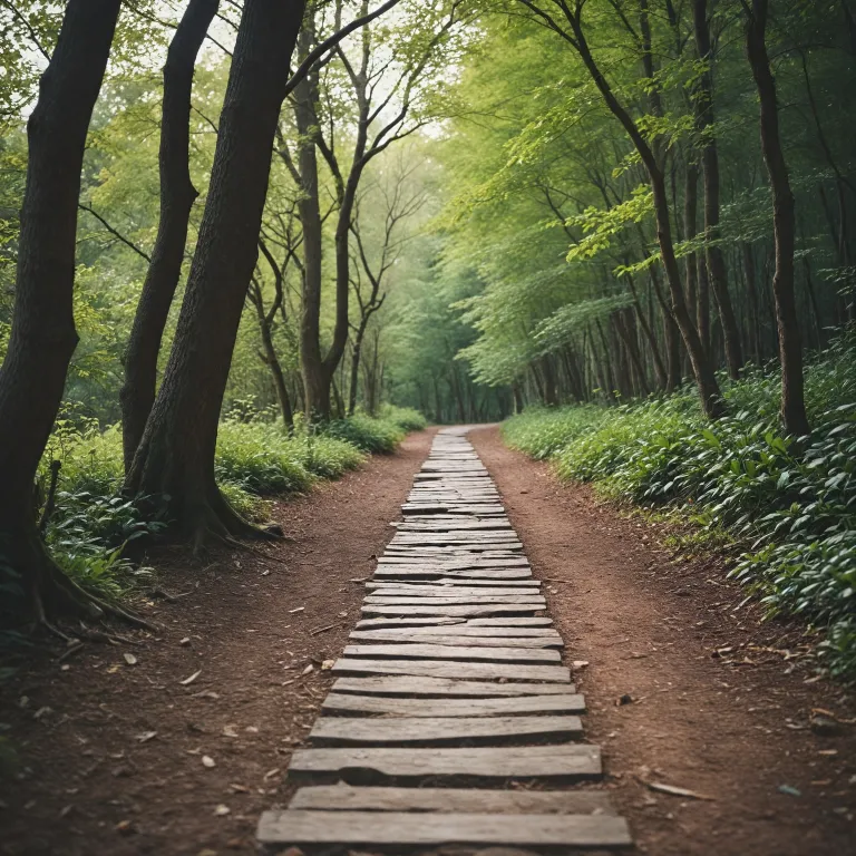 How far is 20,000 steps? Understanding your fitness tracker mileage