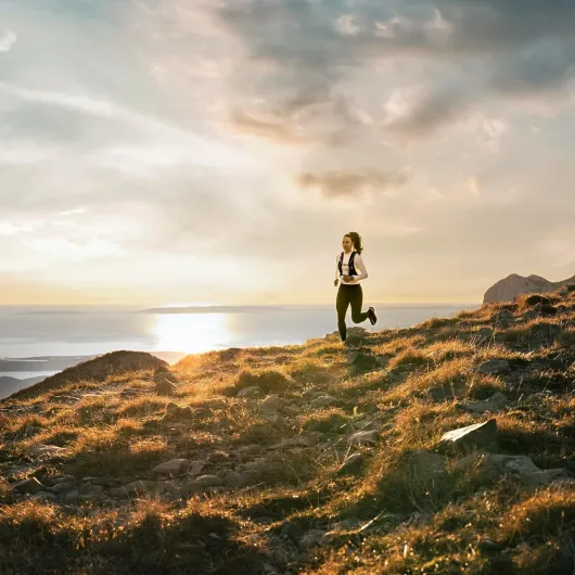 71a4yDR5miL._AC_SL1500_